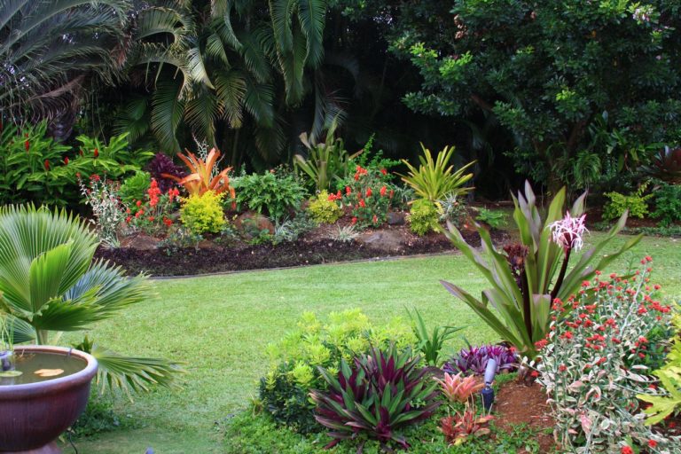 Landscaping in St Pete