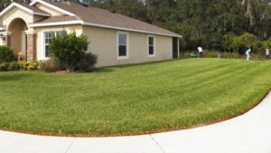 lawn care in st pete